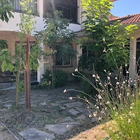 Image of Sunflower's Home (3)