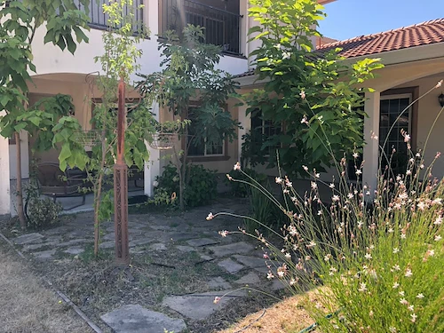 Image of Sunflower's Home (3)