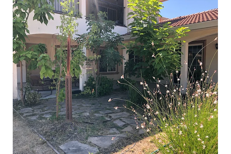 Image of Sunflower's Home (3)