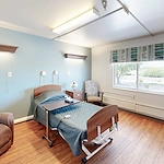 Image of Willow Tree (8)