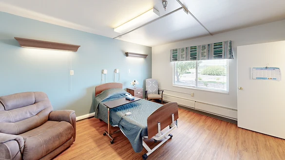 Image of Willow Tree (8)