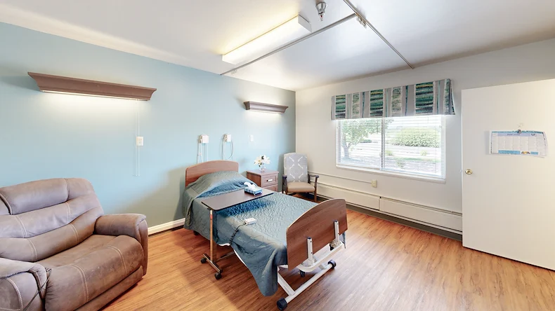 Image of Willow Tree (8)