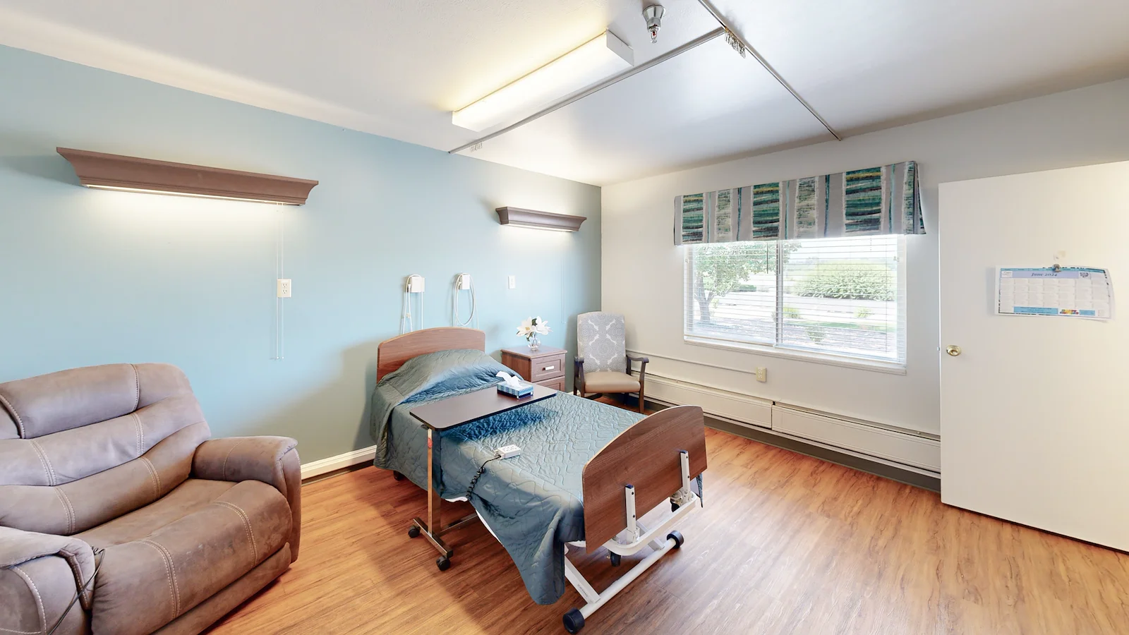 Image of Willow Tree (8)