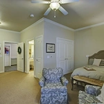 Image of Volante of Grapevine (7)