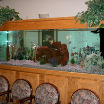 Image of Emerald Gardens (3)