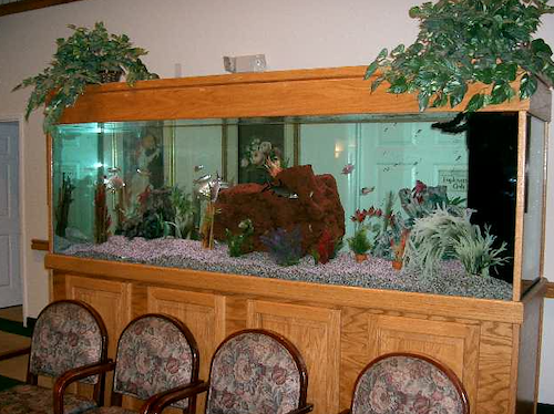 Image of Emerald Gardens (3)
