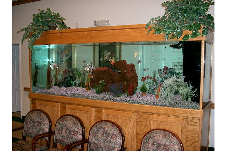 Image of Emerald Gardens (3)