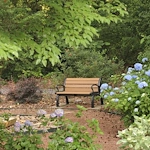 Image of Laurel Crest Health Center (8)