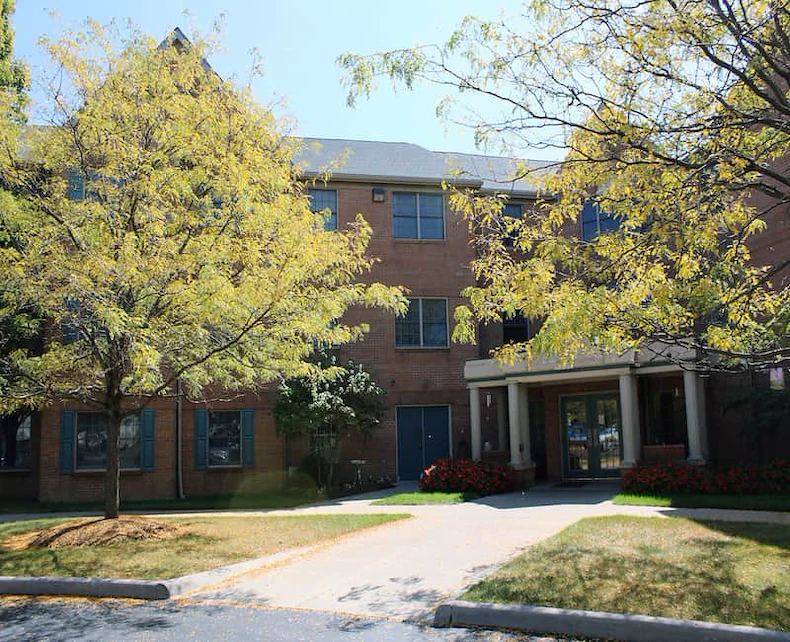 Image of Cherry Blossom (2)