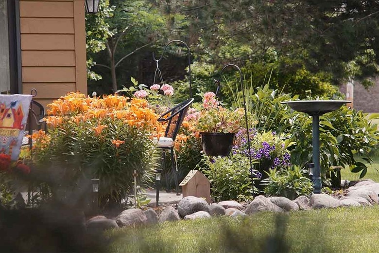 Evergreen Village