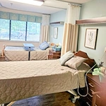 Image of Evervella Of Swansea (7)