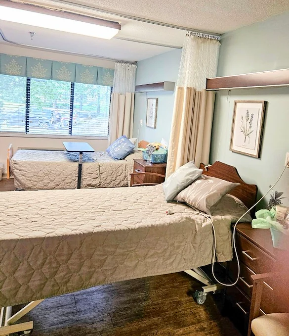 Image of Evervella Of Swansea (7)