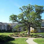 Image of Marbella Oroville (3)