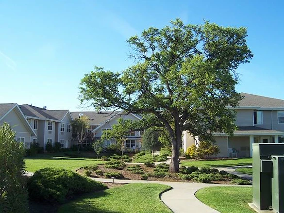 Image of Marbella Oroville (3)