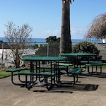 Image of Curry Village Health And Rehab Of Cascadia (4)