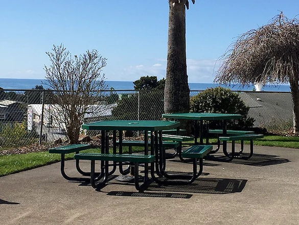 Image of Curry Village Health And Rehab Of Cascadia (4)