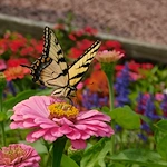 Image of Heath Village Senior Living (4)