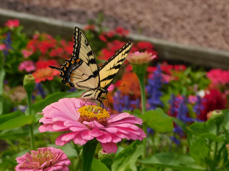 Image of Heath Village Senior Living (4)