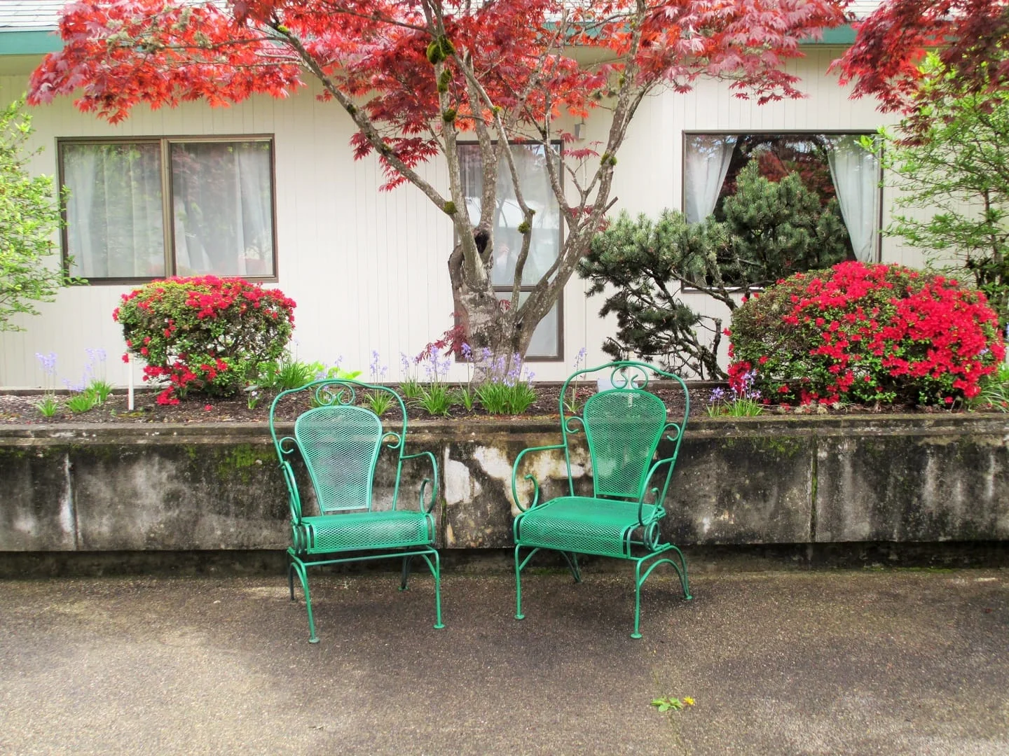 Image of Umpqua Valley Nursing & Rehabilitation (6)