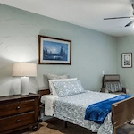 Image of Silver Leaf Dallas on Meadow (6)