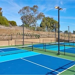 Image of Junipers (6)