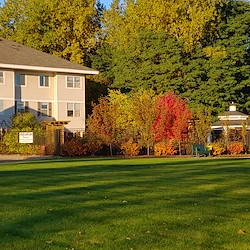 Autumn