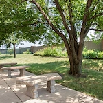Image of Cedar River Renewal (4)