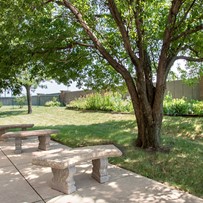 Image of Cedar River Renewal (4)