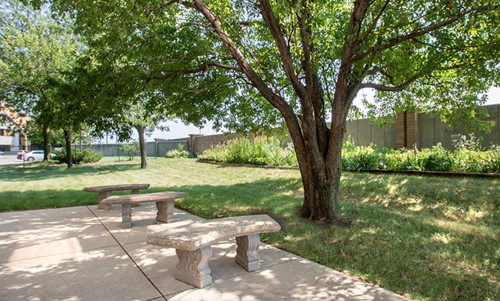 Image of Cedar River Renewal (4)