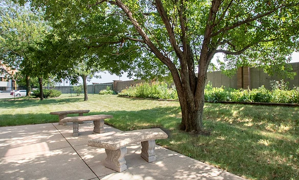 Image of Cedar River Renewal (4)