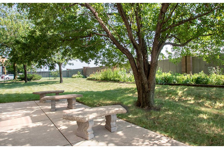 Image of Cedar River Renewal (4)