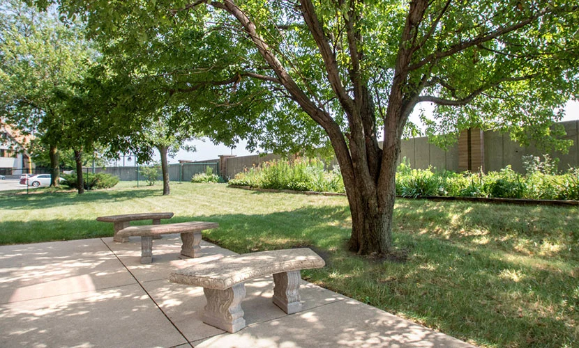 Image of Cedar River Renewal (4)