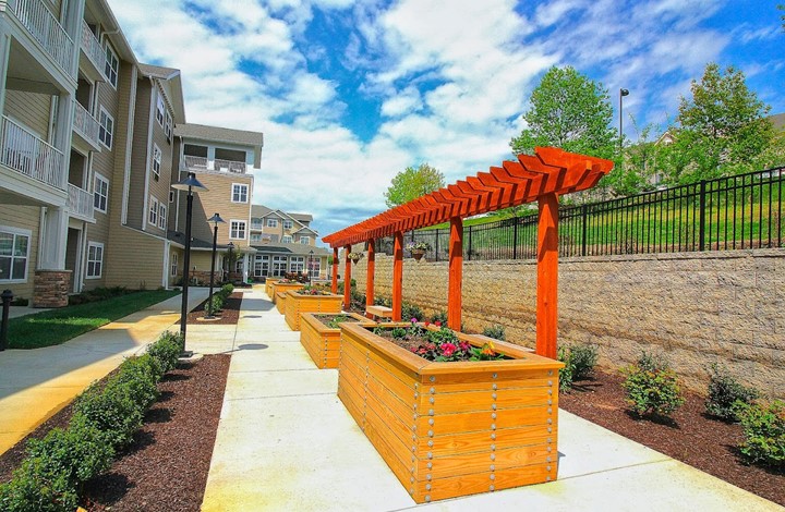 Image of Ivy Creek Gracious Retirement Living (3)