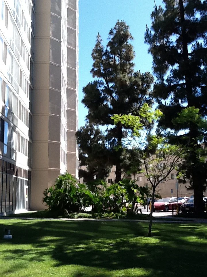 Image of Fickett Towers (2)