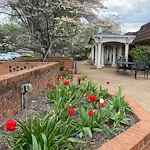 Image of Dogwood Village Of Orange County Assisted Living (3)