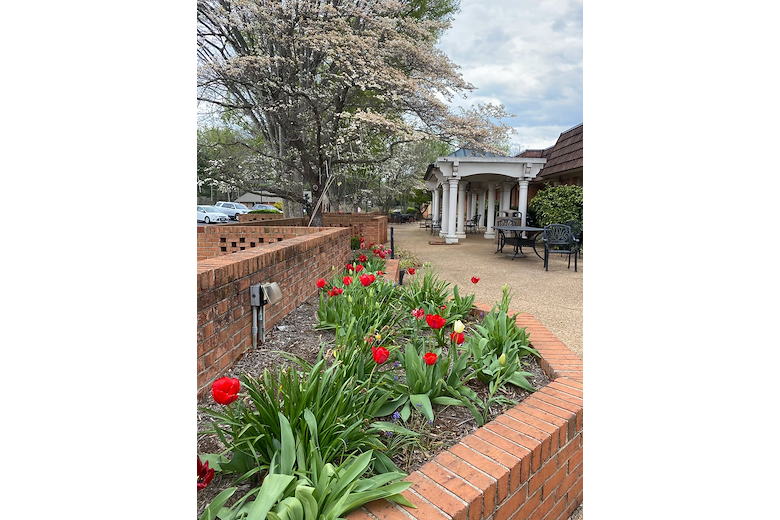 Image of Dogwood Village Of Orange County Assisted Living (3)