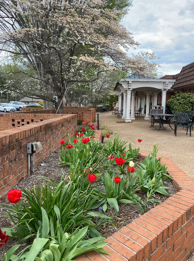 Image of Dogwood Village Of Orange County Assisted Living (3)