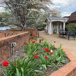 Image of Dogwood Village Of Orange County Assisted Living (3)