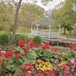 Image of Newcastle Place Health Services (4)