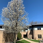 Image of Park Village Assisted Living (2)