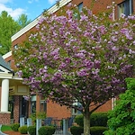 Image of Salemhaven (5)