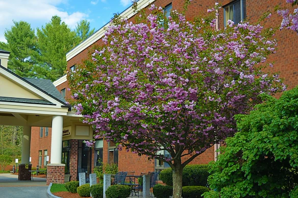 Image of Salemhaven (5)