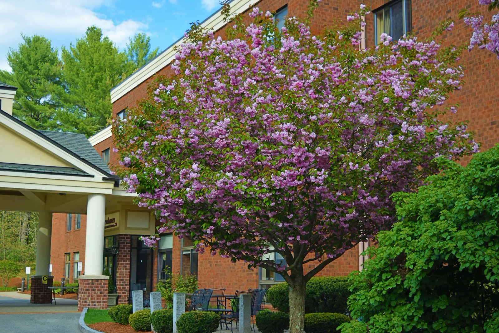 Image of Salemhaven (5)