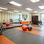 Image of Treeo - South Ogden (7)