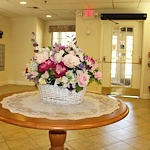 Image of Cherry Blossom (6)