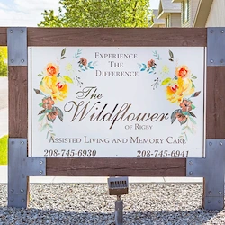 Image of The Wildflower of Rigby (3)
