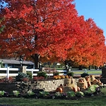 Image of Heath Village Senior Living (5)