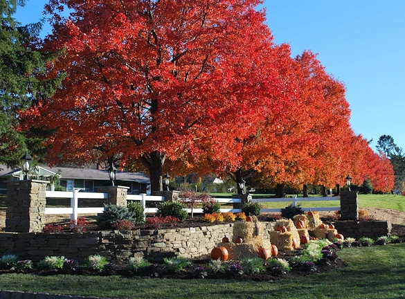 Image of Heath Village Senior Living (5)