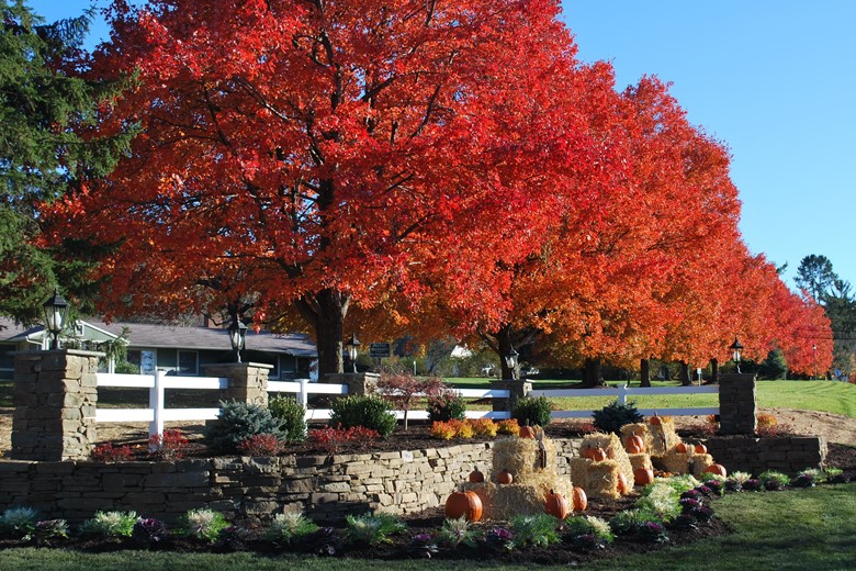 Image of Heath Village Senior Living (5)