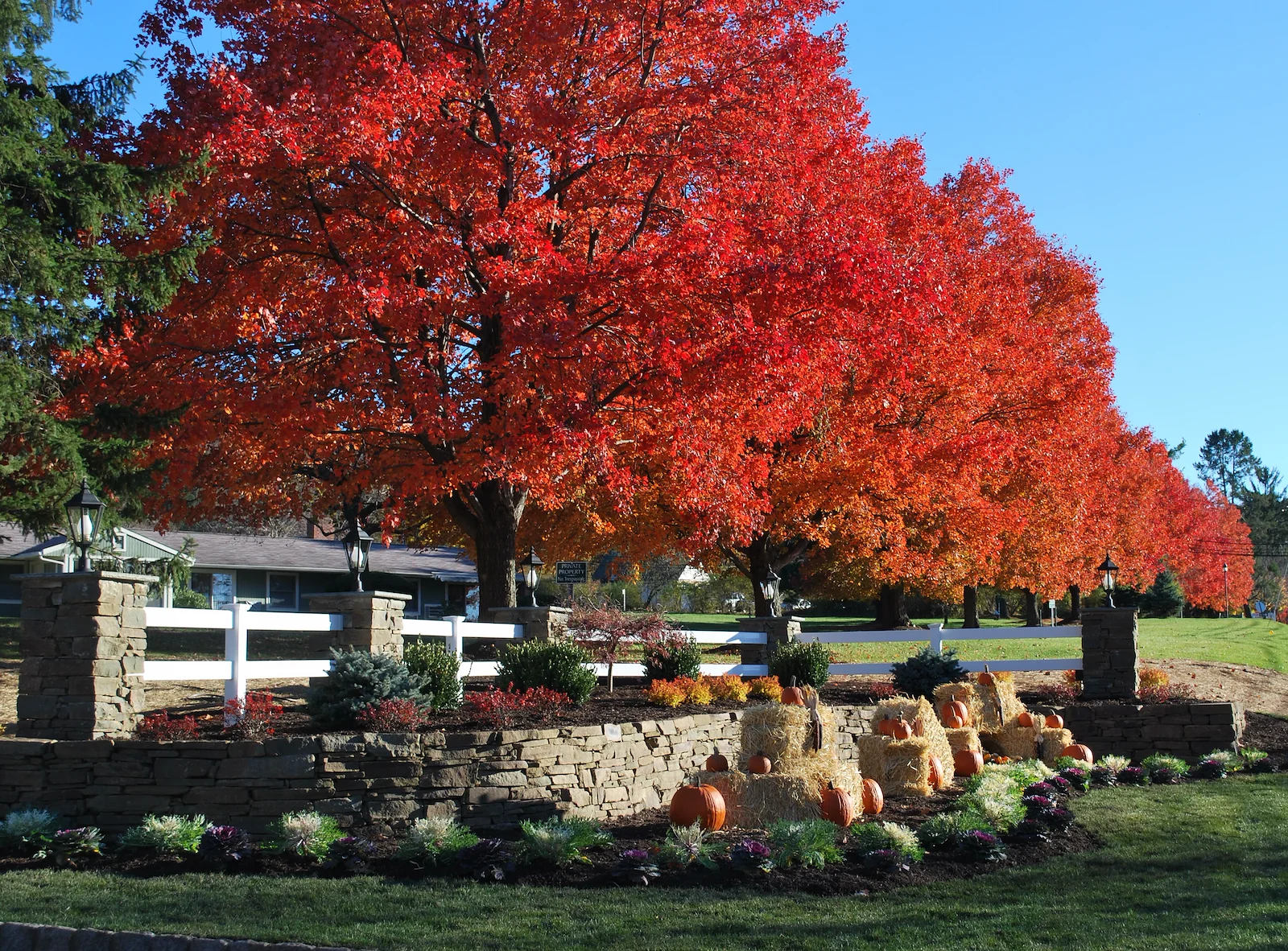 Image of Heath Village Senior Living (5)